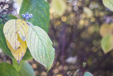 Similar image 21157635