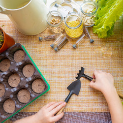 Similar image 21157638