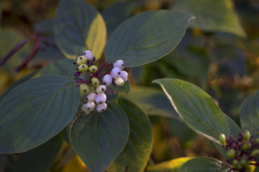 Similar image 21157639