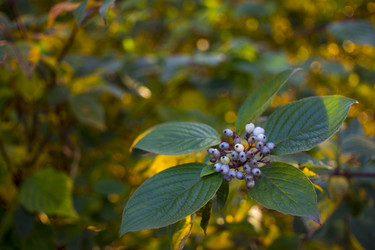 Similar image 21157642