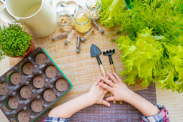 Similar image 21157647