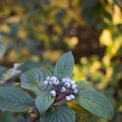 Similar image 21157648