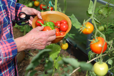 Similar image 21151062