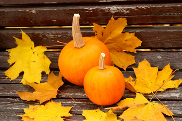 Similar image 21151063