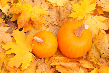 Similar image 21151075