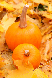 Similar image 21151077