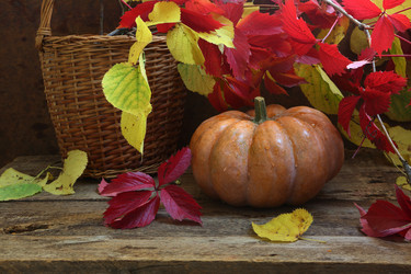 Similar image 21151300