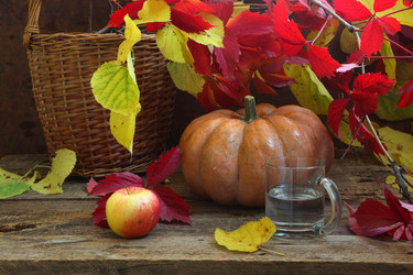 Similar image 21151301