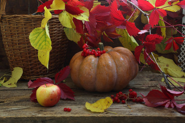 Similar image 21151303