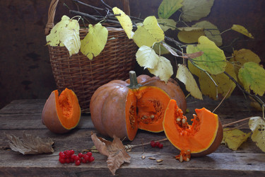 Similar image 21151308