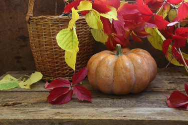 Similar image 21151309