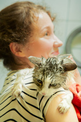 Similar image 21153051