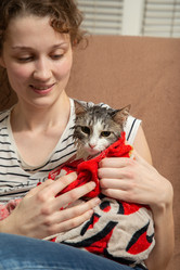 Similar image 21153059