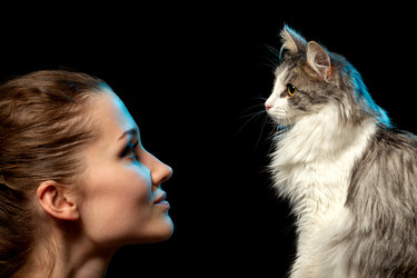 Similar image 21169129