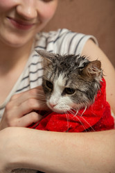 Similar image 21169140