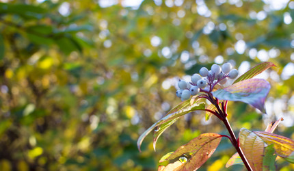 Similar image 21188153