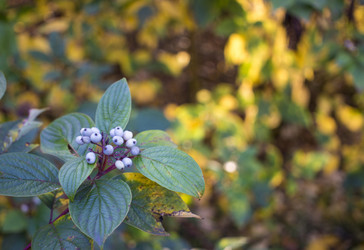 Similar image 21188154