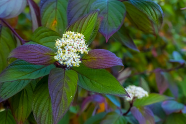 Similar image 21188155