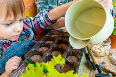 Similar image 21188159