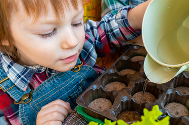 Similar image 21154665