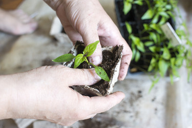 Similar image 21157026