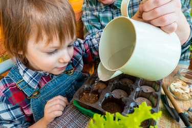 Similar image 21154427