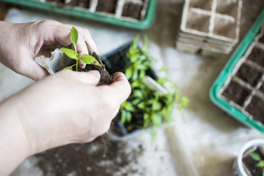 Similar image 21157029