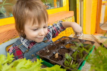 Similar image 21154430