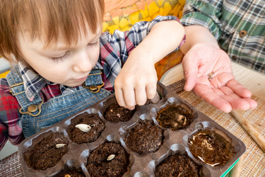 Similar image 21154432