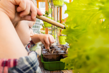 Similar image 21154434