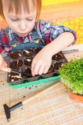 Similar image 21154439