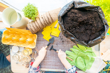 Similar image 21157032