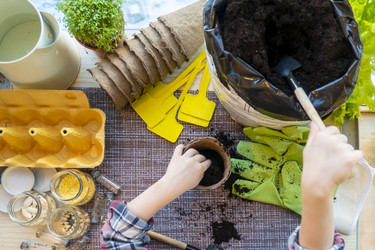 Similar image 21157034