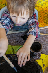 Similar image 21154441