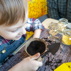 Similar image 21154442