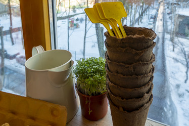 Similar image 21157087