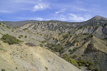 Similar image 21152886