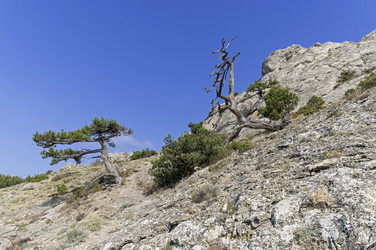 Similar image 21152887