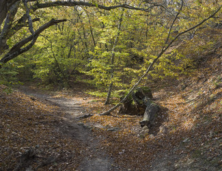 Similar image 21152888