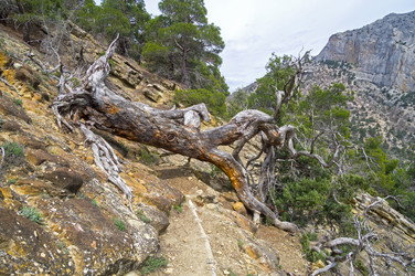 Similar image 21152890