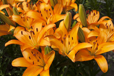 Similar image 21152892