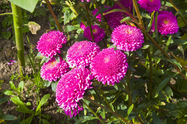 Similar image 21152894