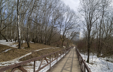 Similar image 21152899