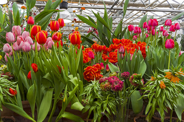 Similar image 21152901