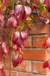 Similar image 21152902