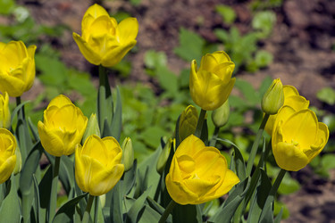 Similar image 21152904