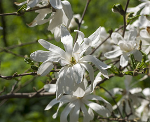 Similar image 21152905