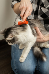 Similar image 21151610