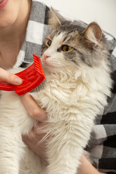 Similar image 21151612