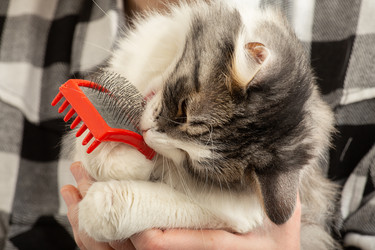 Similar image 21151614